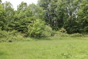 hartstown-re-july-3-5