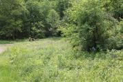 hartstown-re-july-3-6
