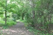 hartstown-re-july-3-8